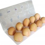 Eggs1-150x150